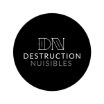 Agence creation de sites web Toulouse